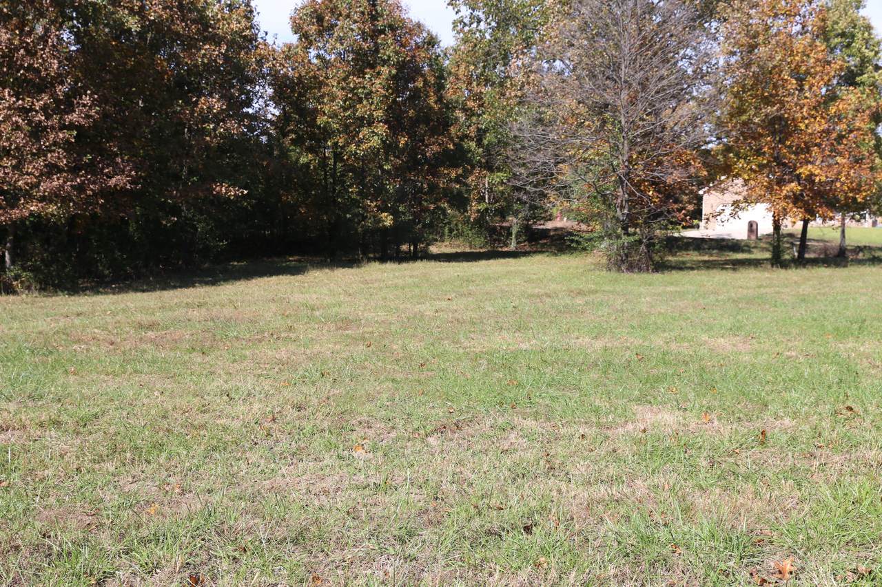 000 Wild Turkey Road - Photo 1
