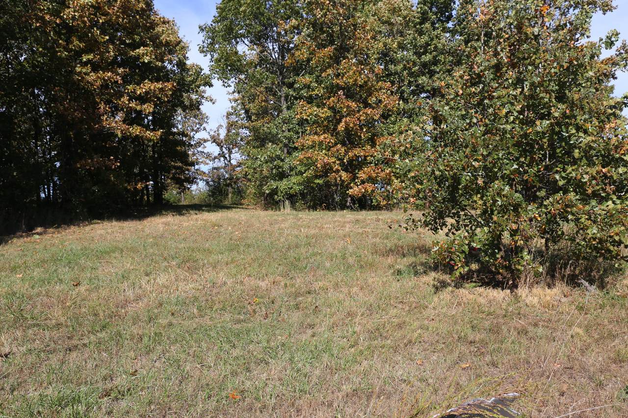 000 Wild Turkey Road - Photo 1