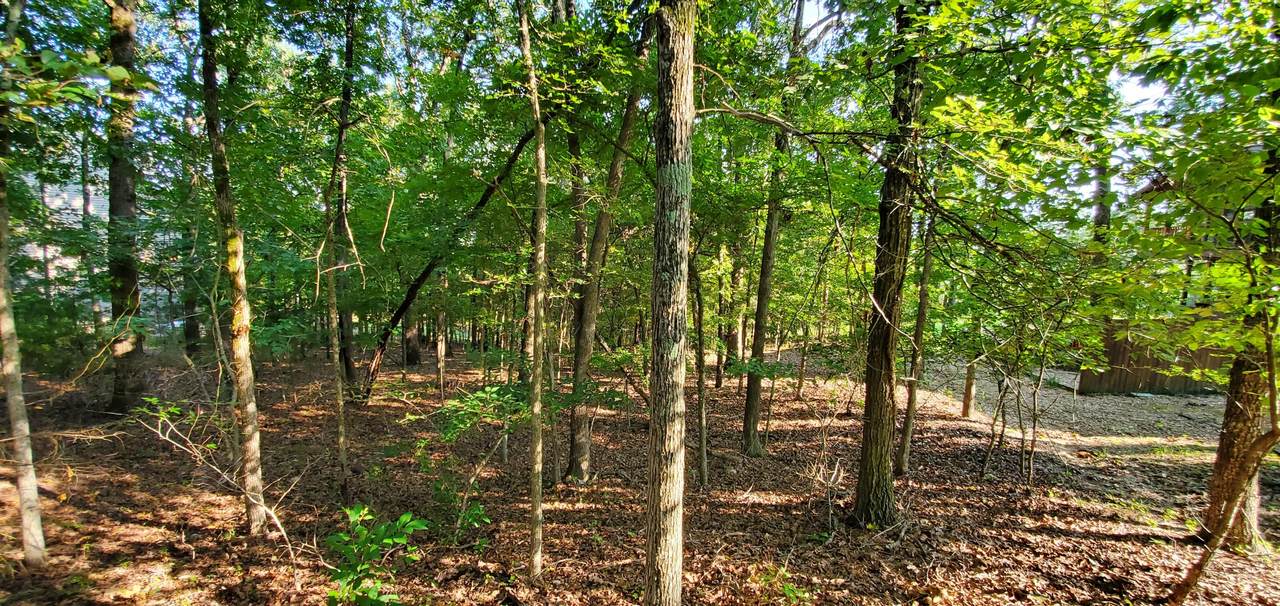 Tbd(Lot 3) Little Aunts Creek Road - Photo 1