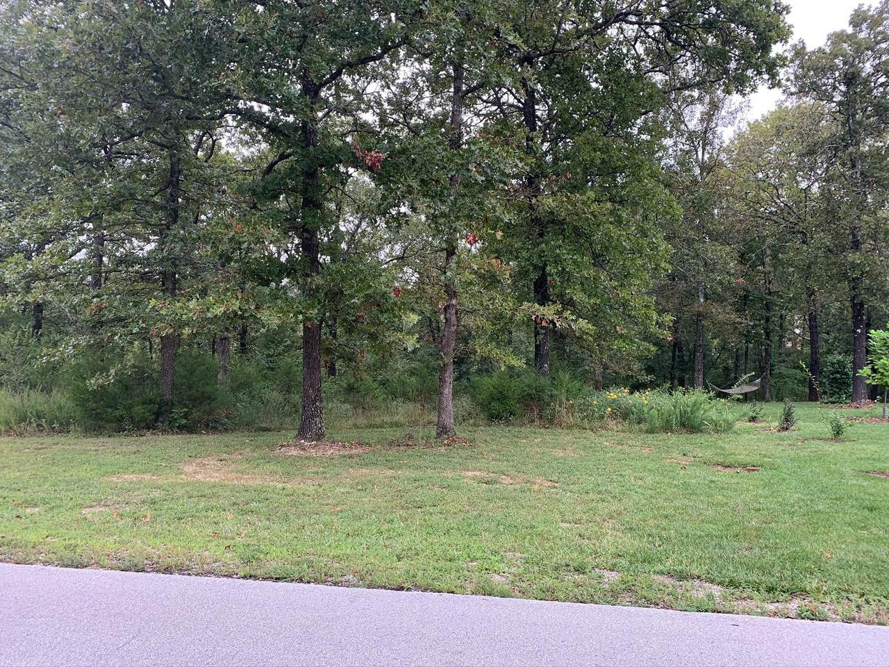 Lot 45 Forest Lake - Photo 1