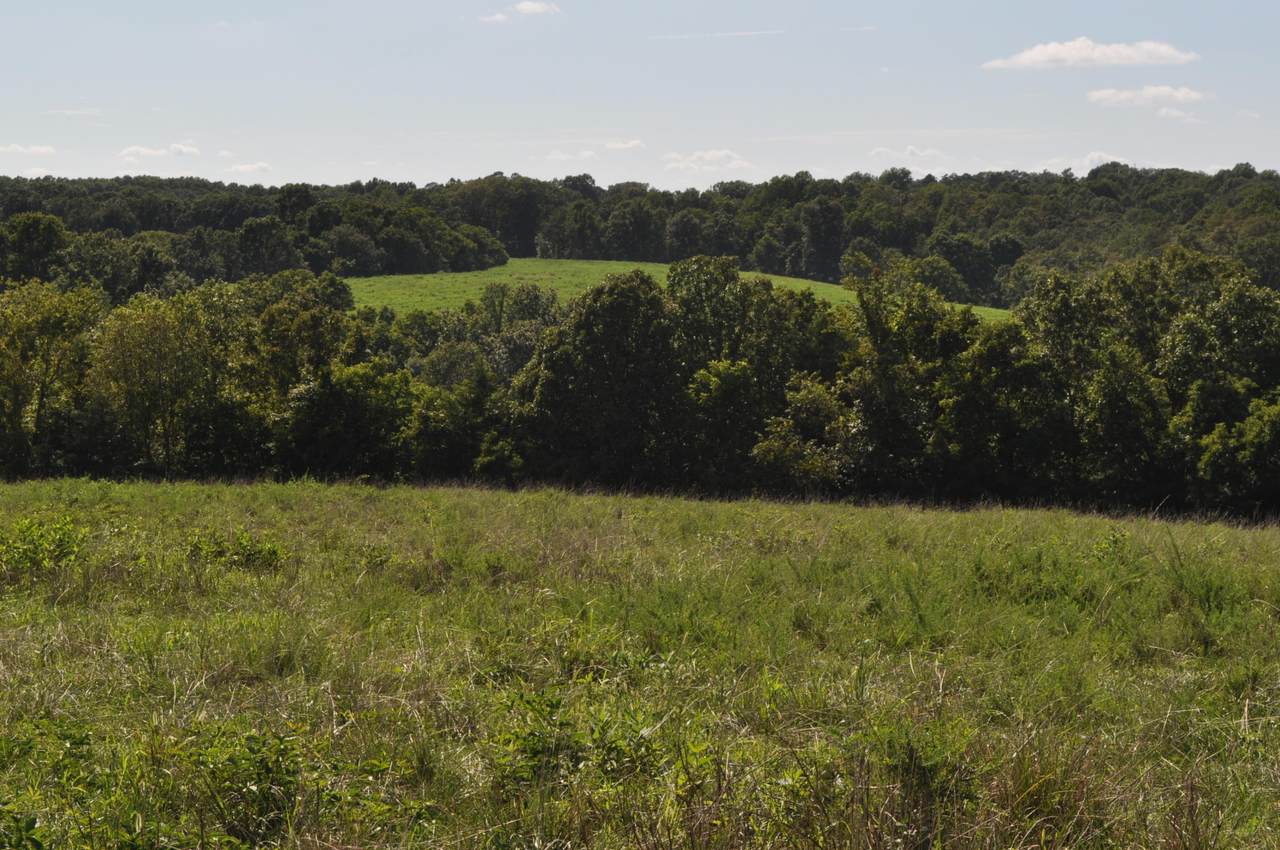 000 State Highway 173 - Photo 1