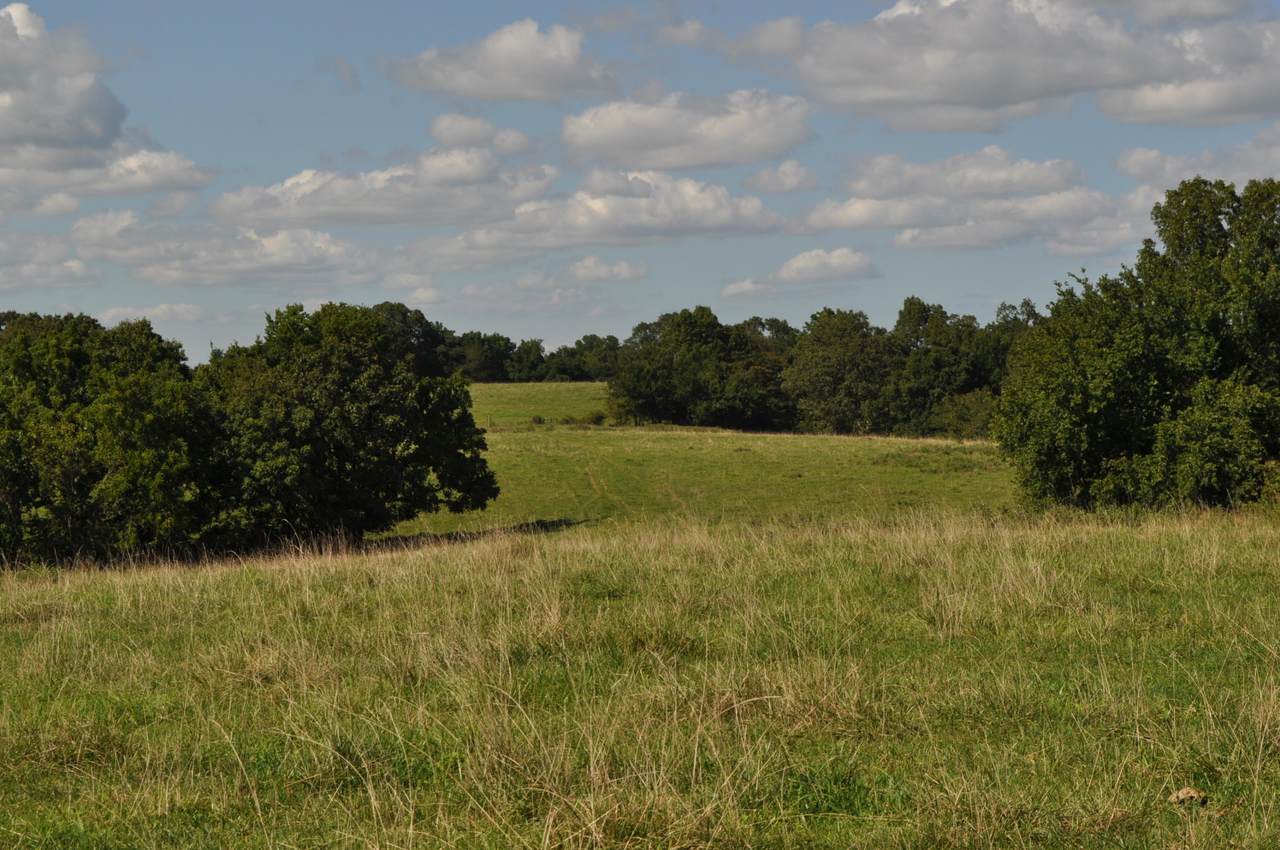 000 State Highway 173 - Photo 1