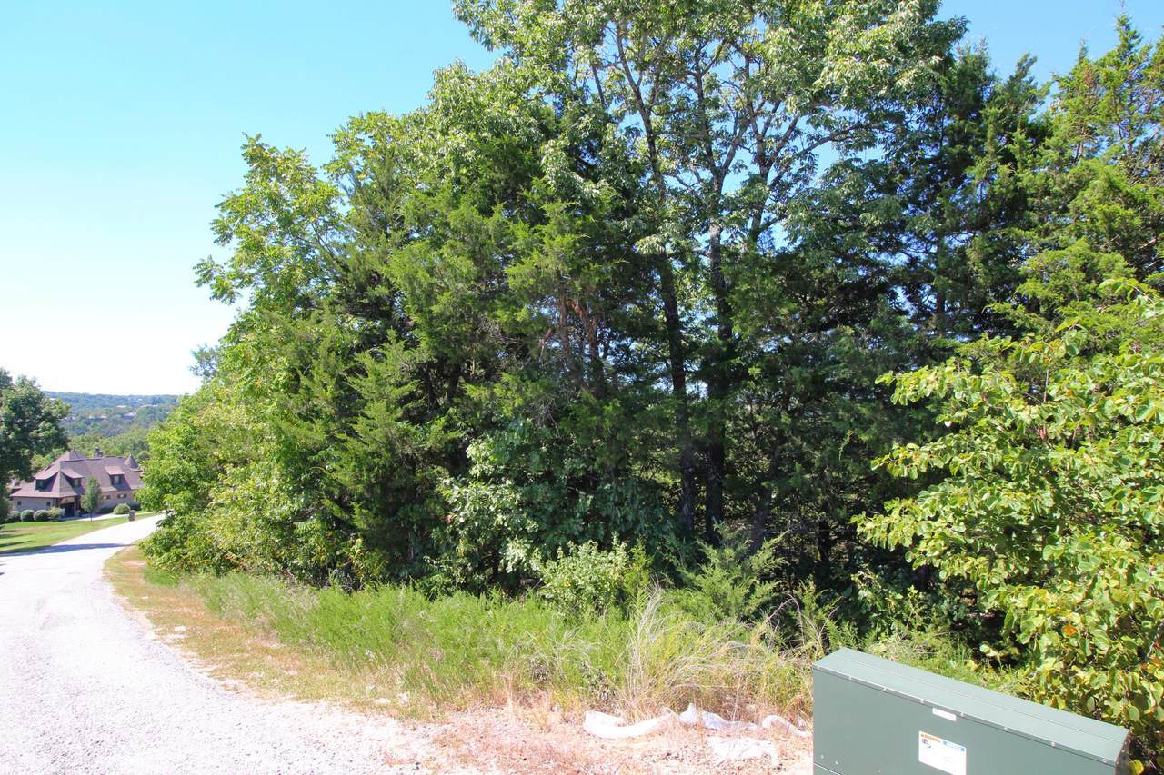 Lot 178 Black Forest Lane - Photo 1
