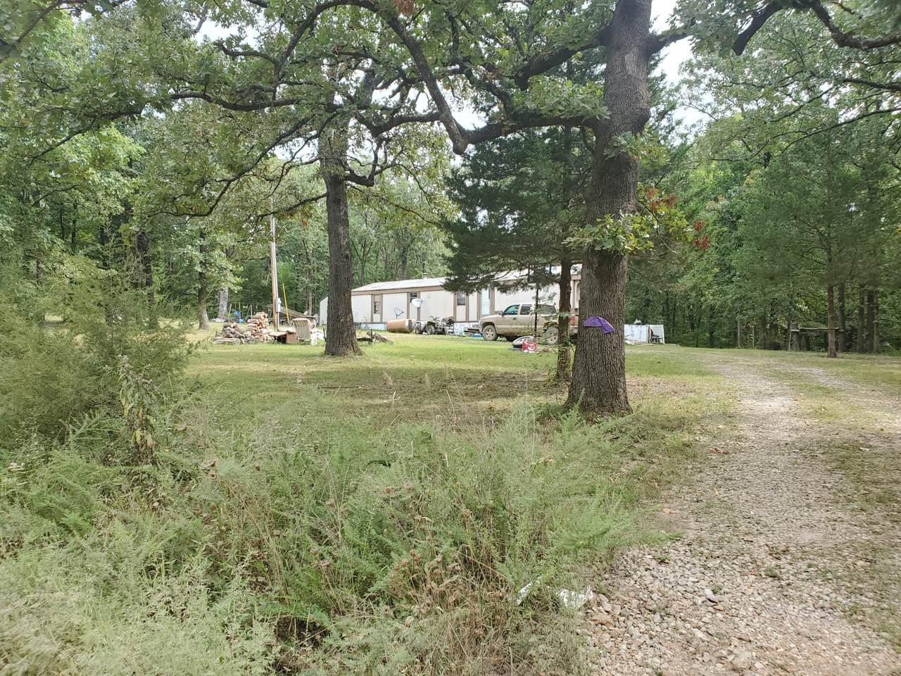 24945 294 Road - Photo 1