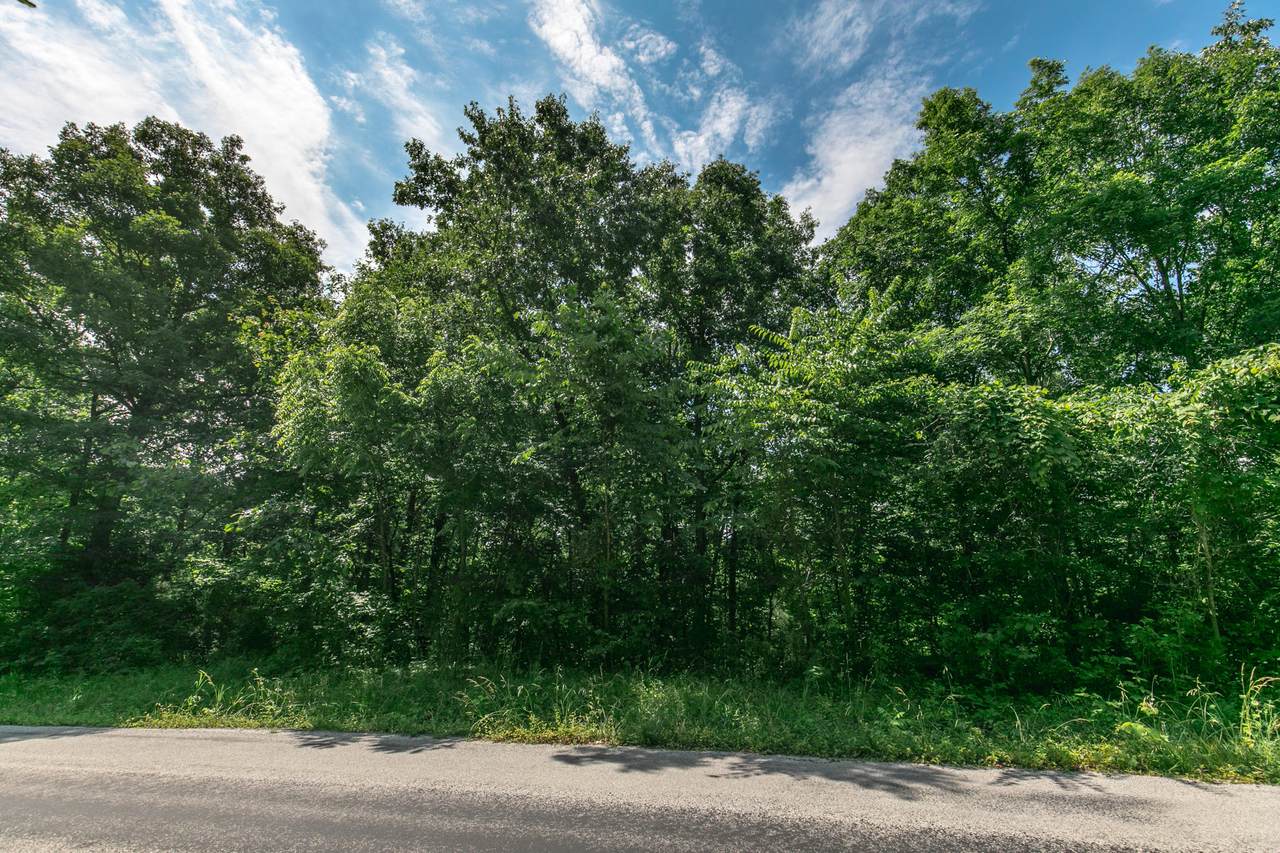 Lot 38 Pebble Creek - Photo 1