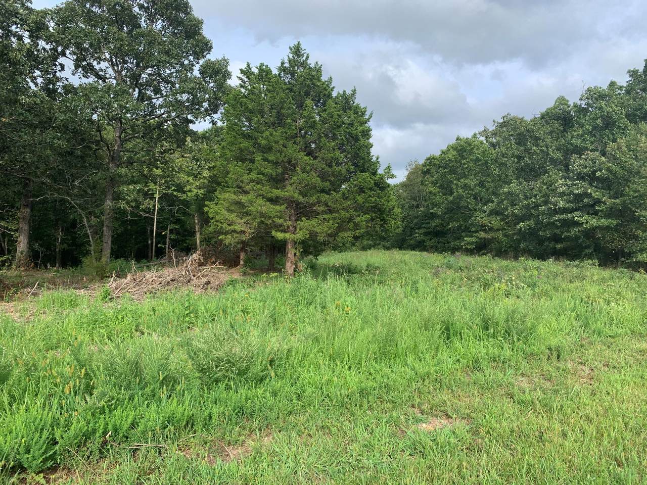 Lot 16 Horseshoe Estates - Photo 1