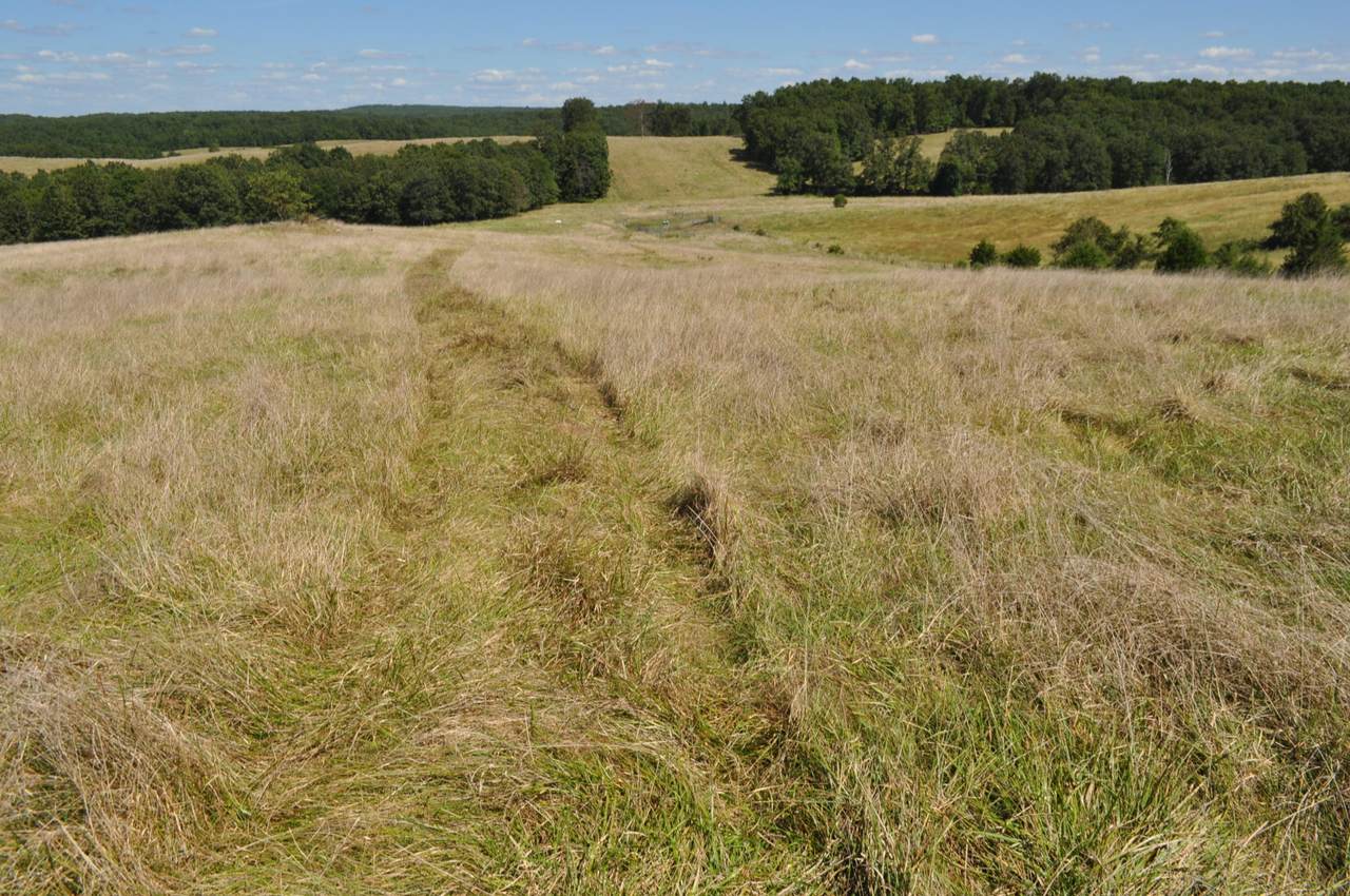 323 County Road 7040 - Photo 1