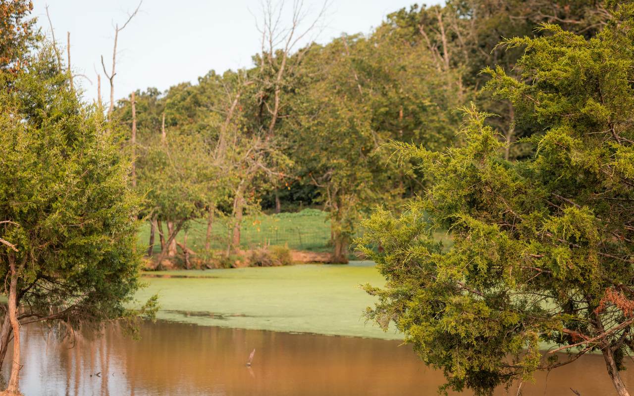 5855 Highway 17 - Photo 1