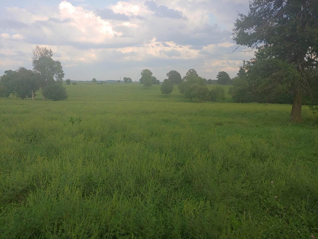 000 512th Road - Photo 1