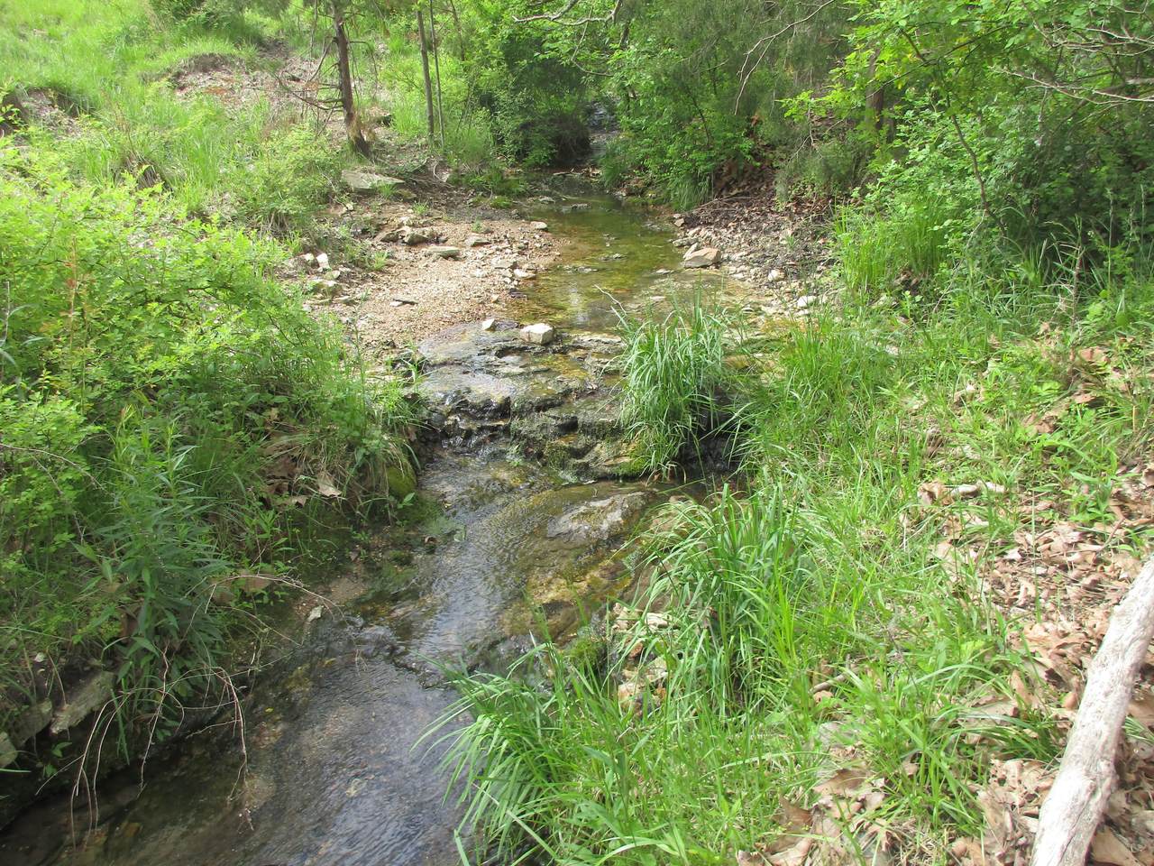 000 Dawn Road - Photo 1
