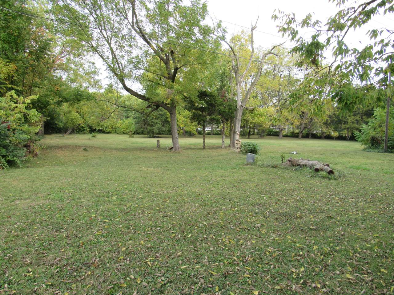 1029 Kansas Expressway - Photo 1