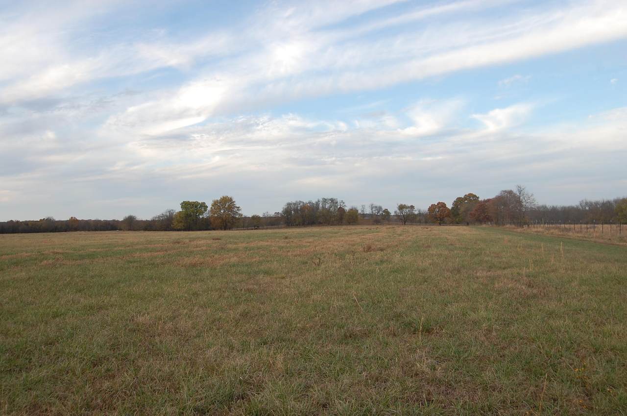 Tbd Newton Road - Photo 1