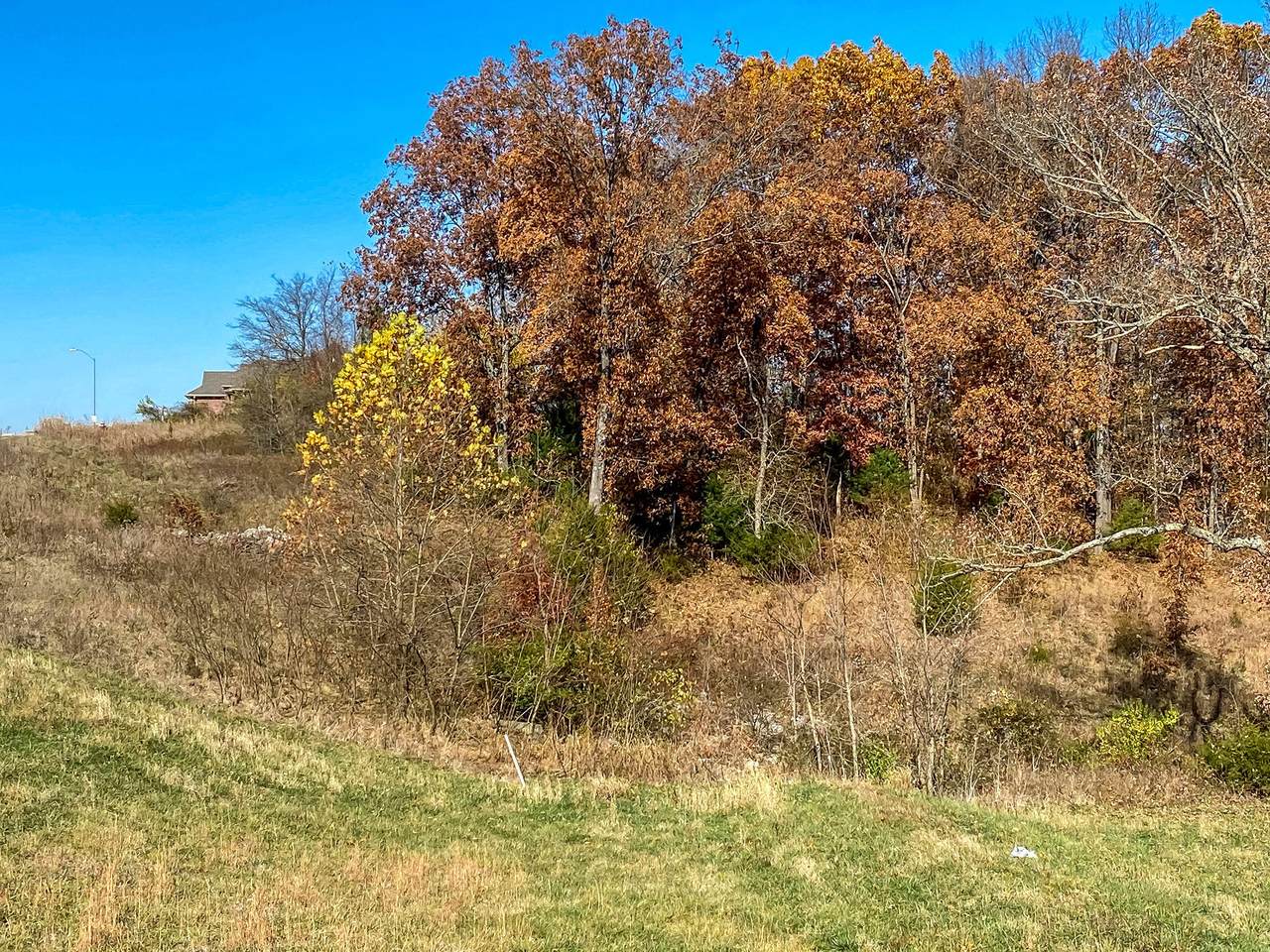 857 Richmond Way - Photo 1