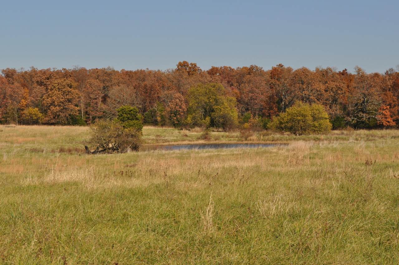 5615 Highway Jj - Photo 1