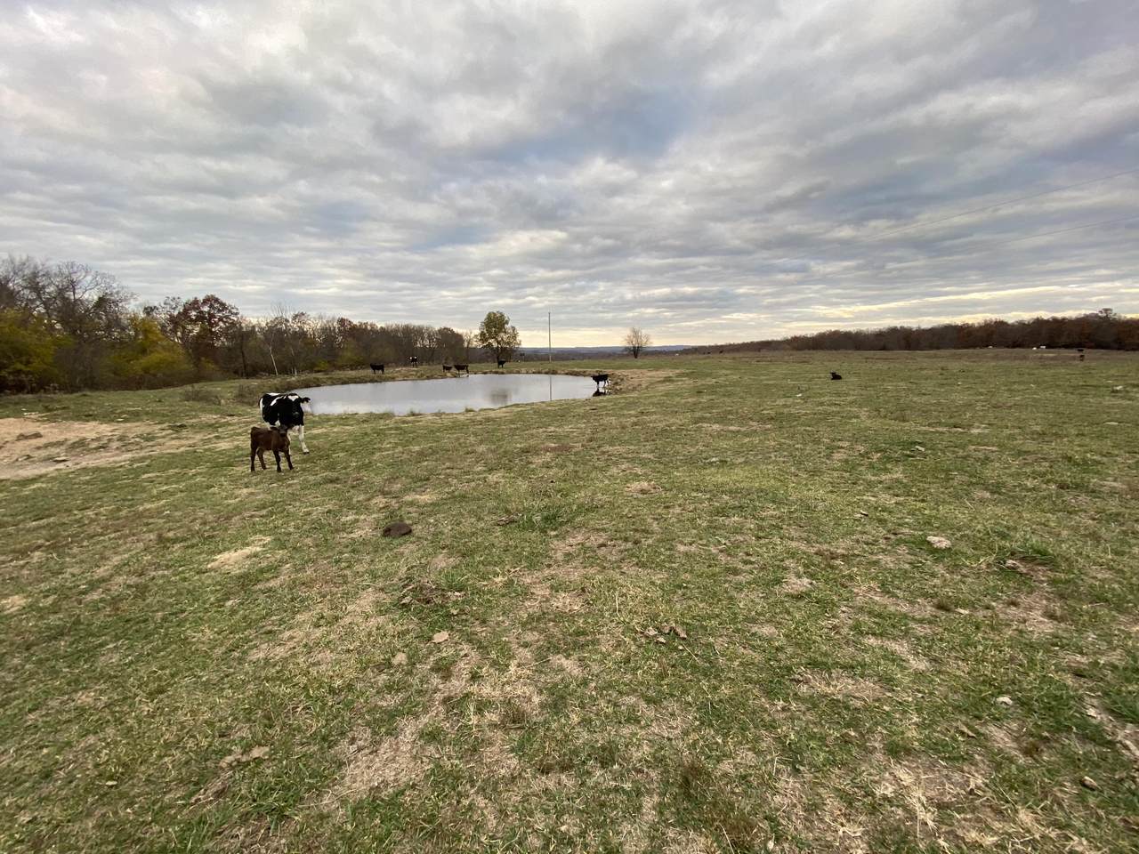 4499 Gravel Point Road - Photo 1