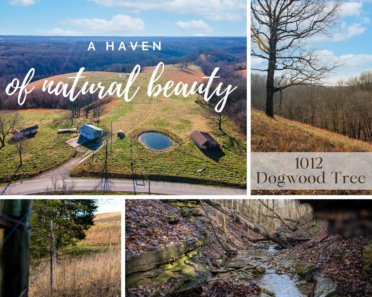 1012 Dogwood Tree Road - Photo 1