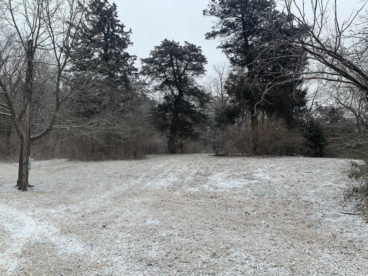 Lot 3 Shoal Creek Estates - Photo 1