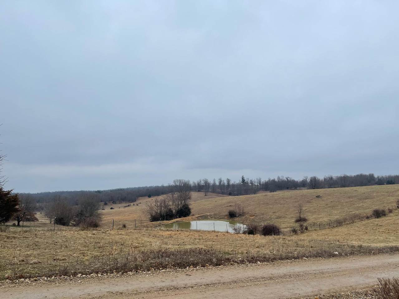 13 County Road 258 - Photo 1