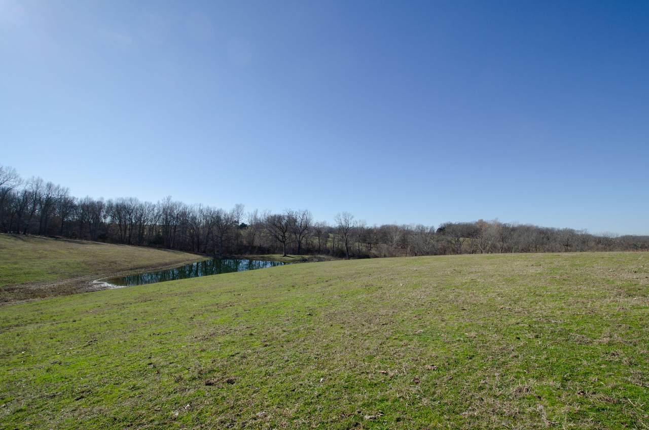 000 154 Ac Springer Farm Hwy 413 - Photo 1