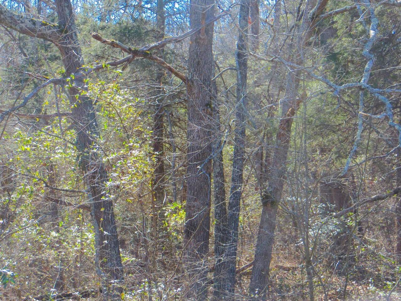000 West 142 Highway - Photo 1