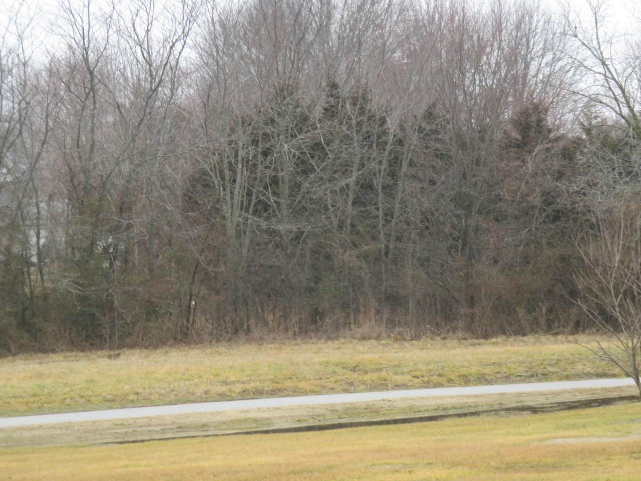 6 Lots Autoscope Drive - Photo 1
