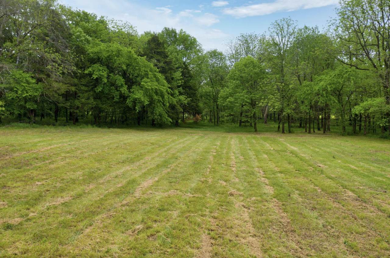 000 Wildflower Lane - Photo 1