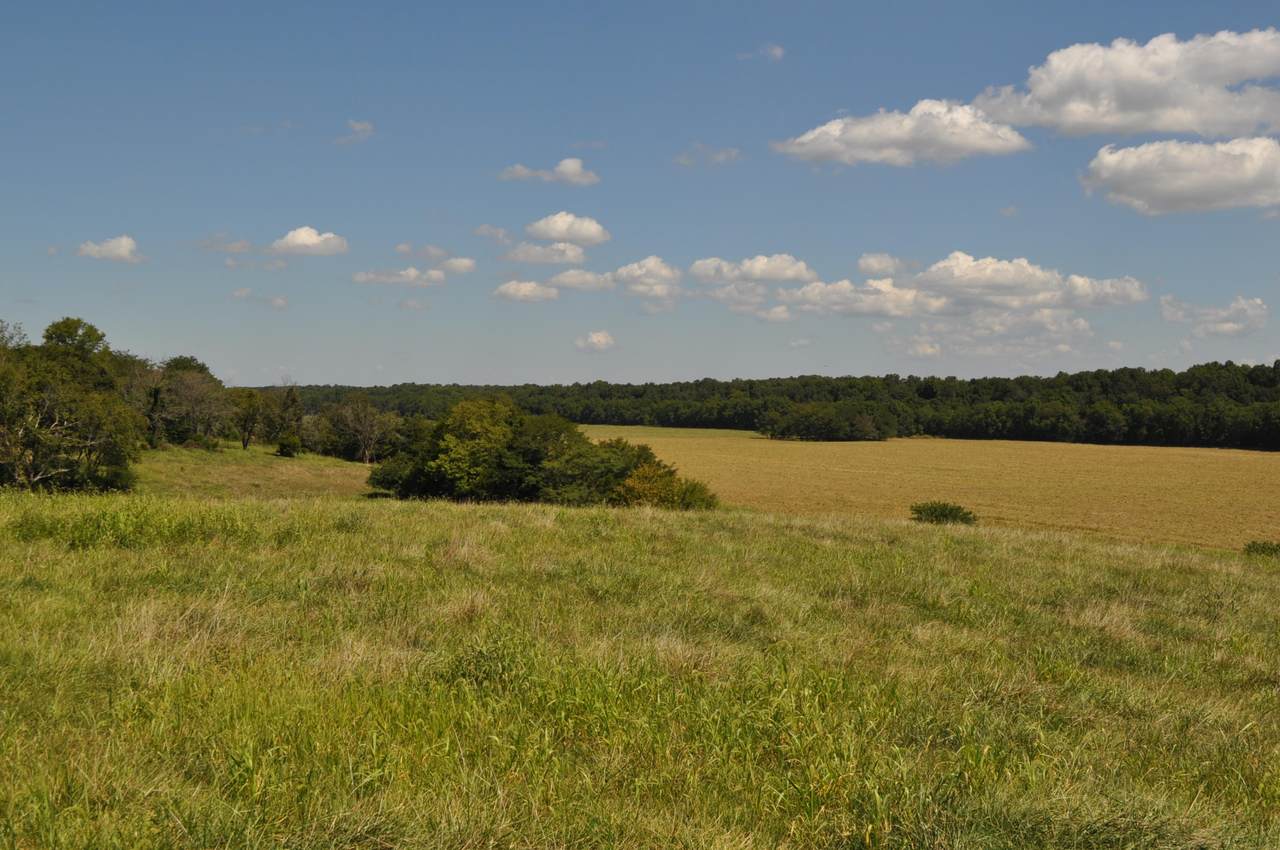25399 Oakdale Drive - Photo 1