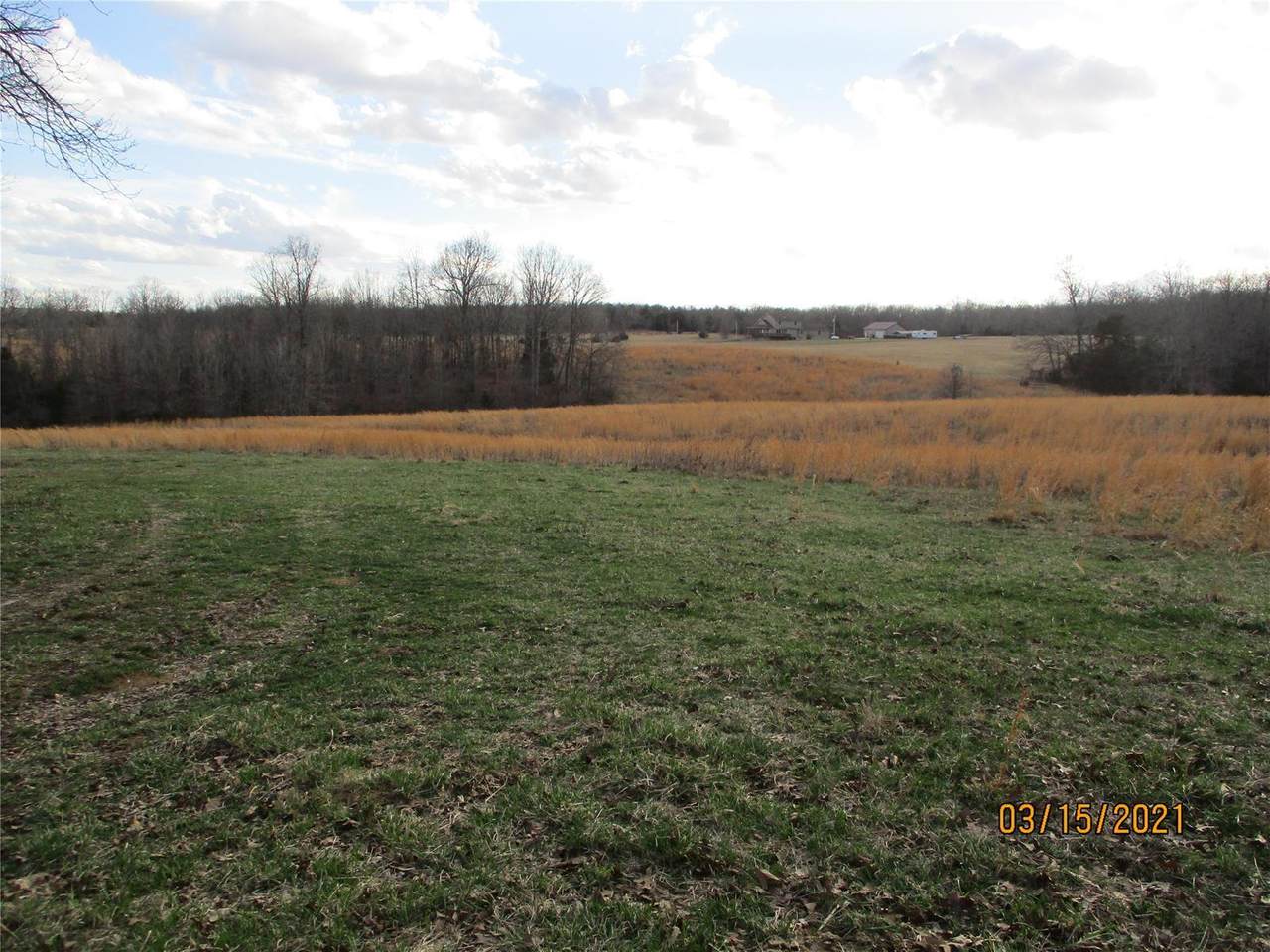 1319 Highway Ff - Photo 1