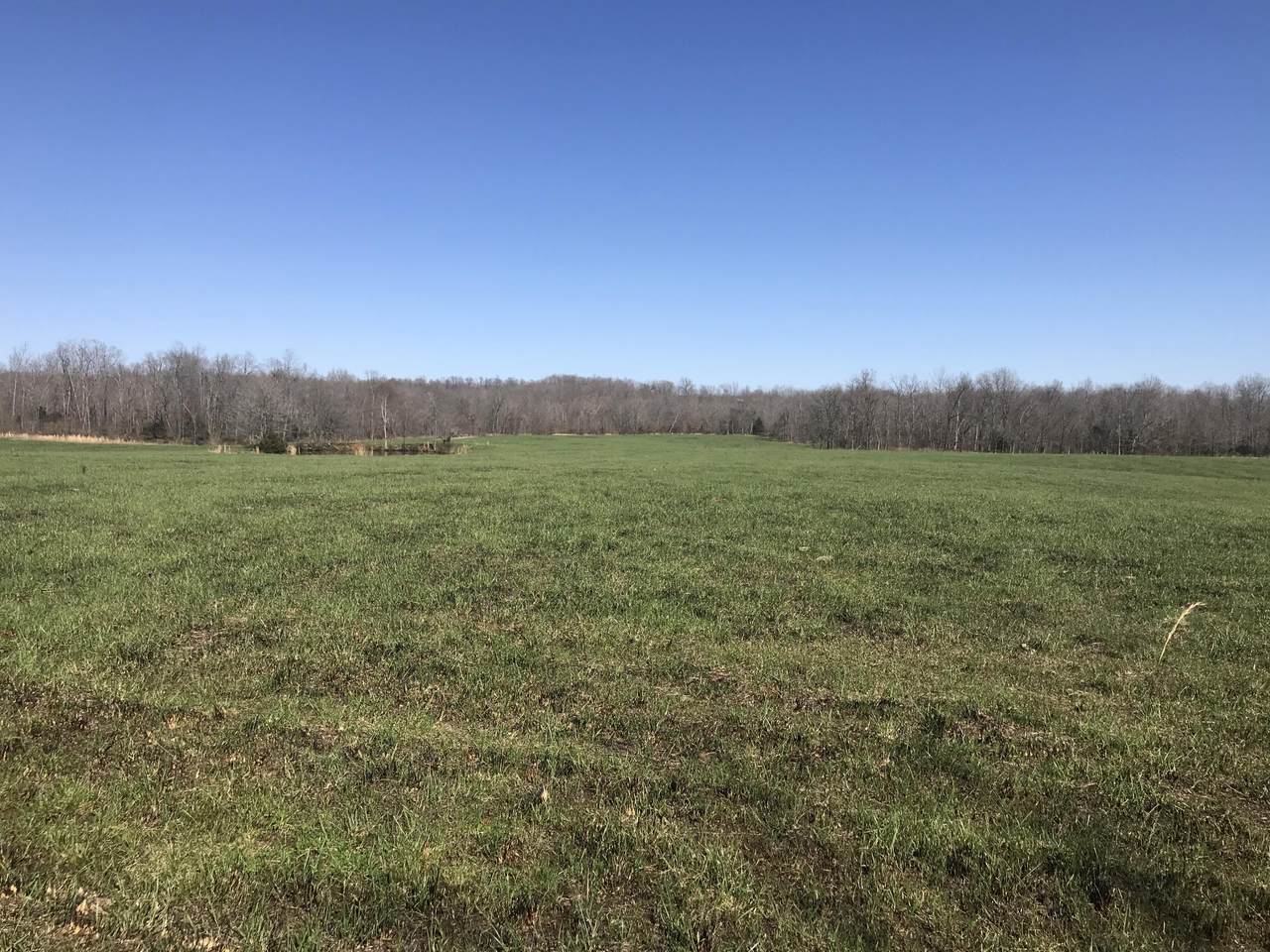 000 County Road 202 - Photo 1