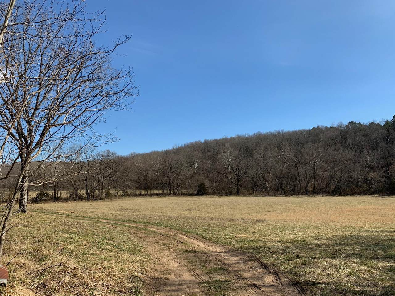 1404 County Road 110 - Photo 1