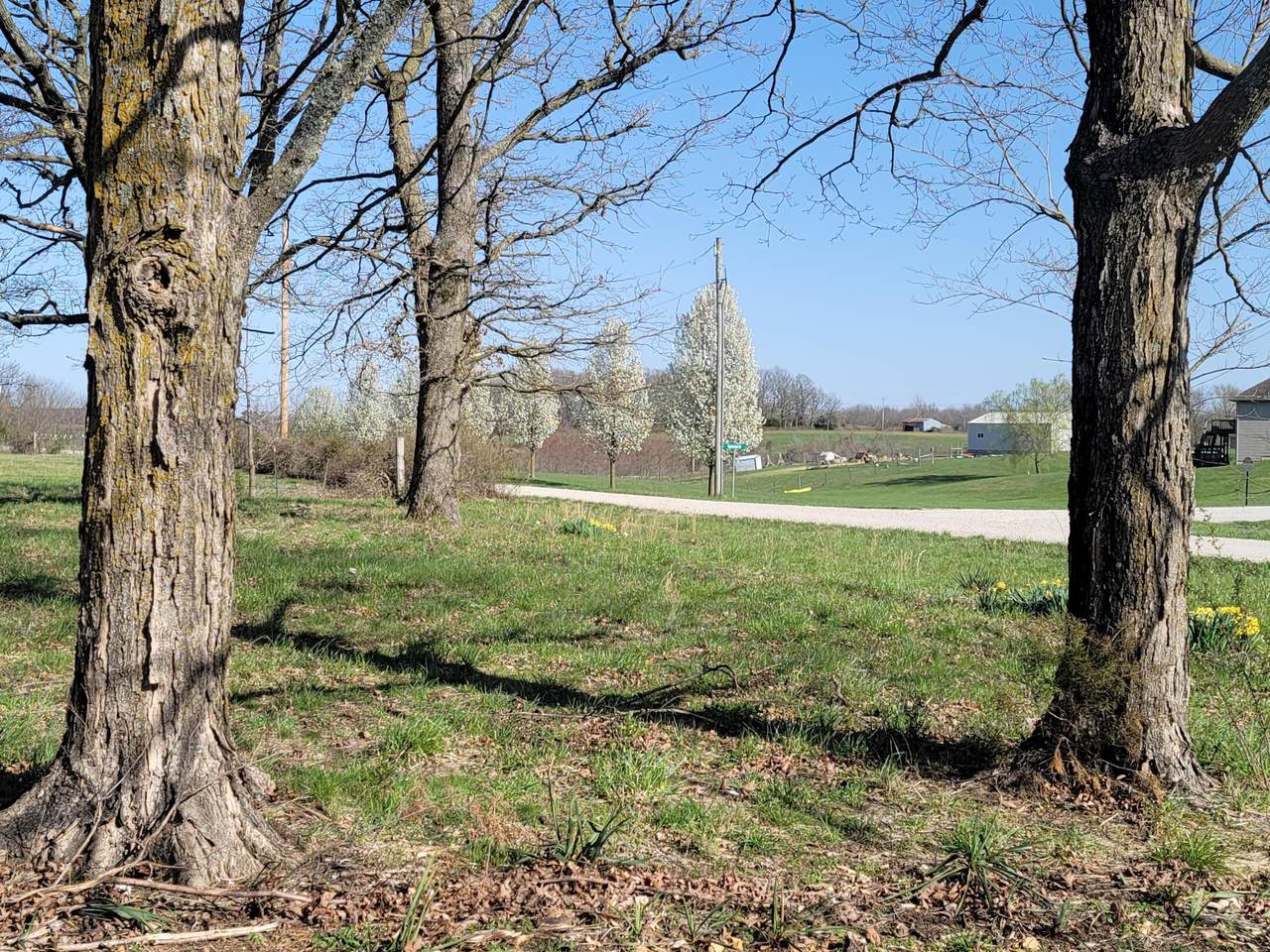 497 Porter Loop - Photo 1
