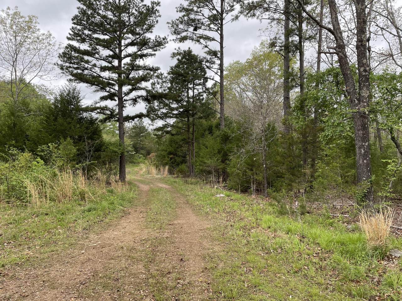 0000 County Road 331 - Photo 1