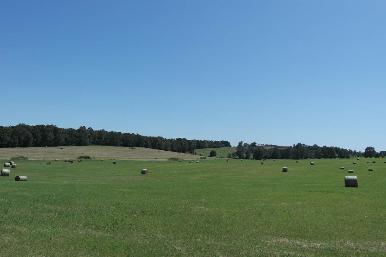 000 Highway 142 - Photo 1