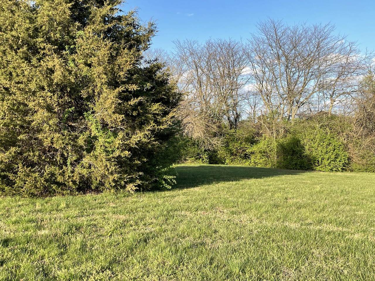 3734 Fox Grape Road - Photo 1