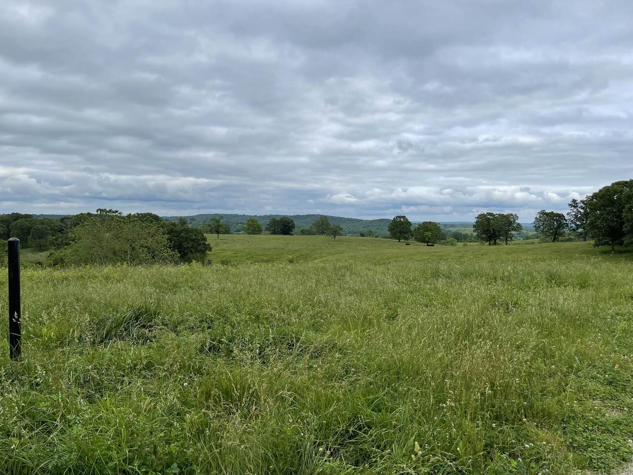 000 State Highway C - Photo 1
