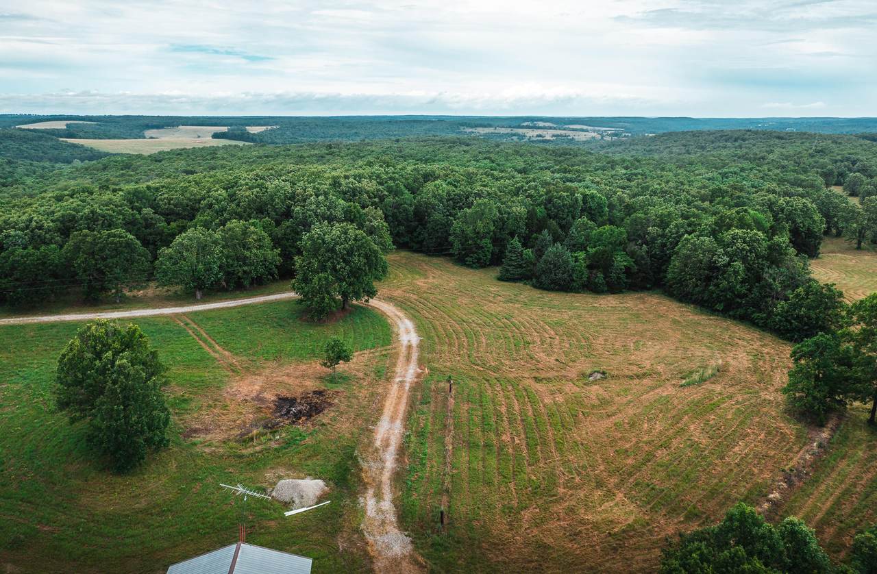 10658 Stone Ridge Road - Photo 1