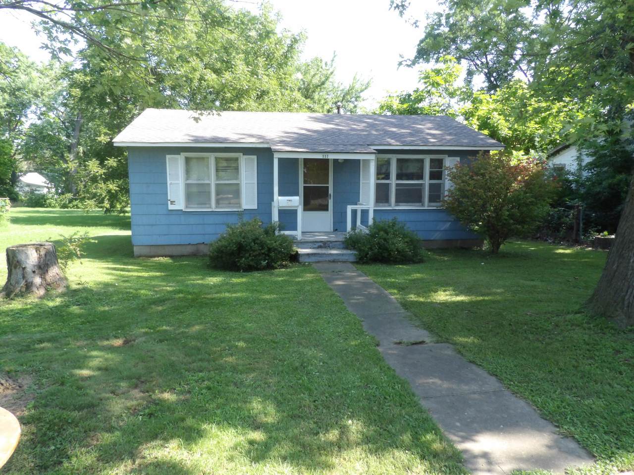 117 Cruce Street - Photo 1