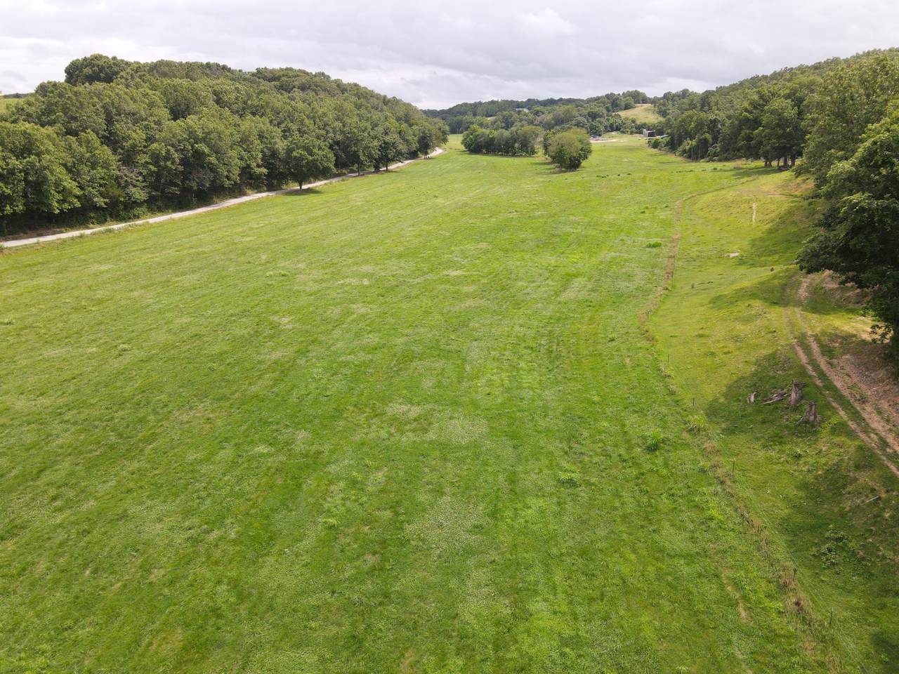 F68.20ac Bass Hollow Road - Photo 1