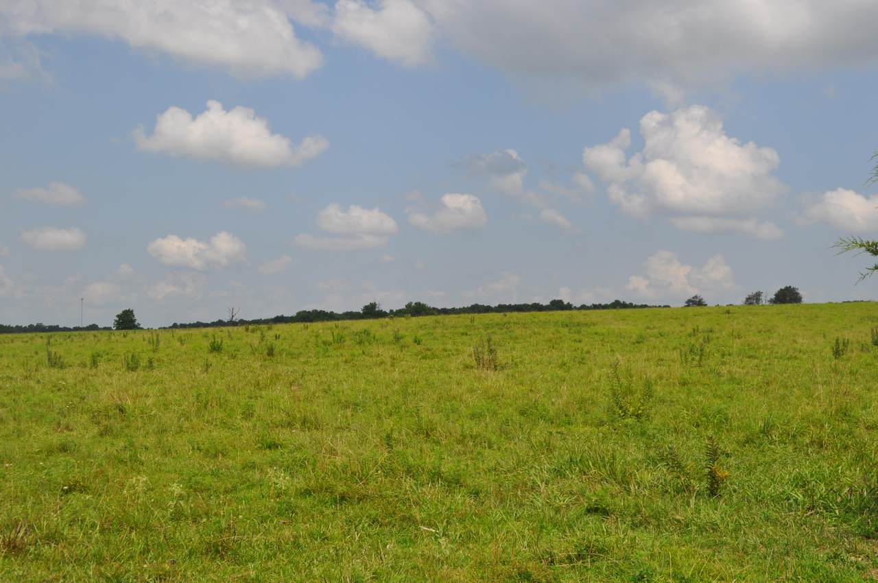 000 Farm Road 2 - Photo 1