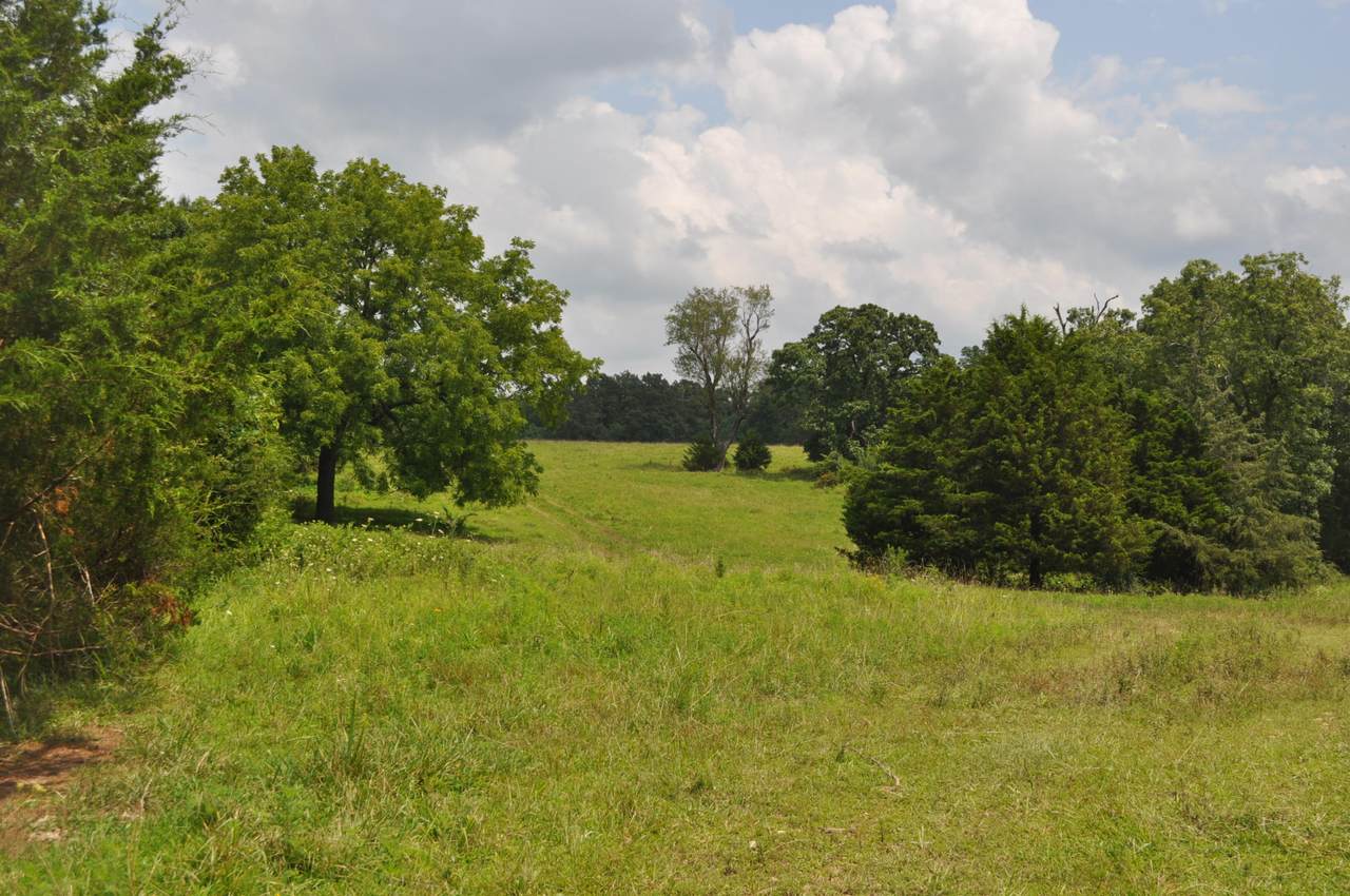 000 Farm Road 2 - Photo 1