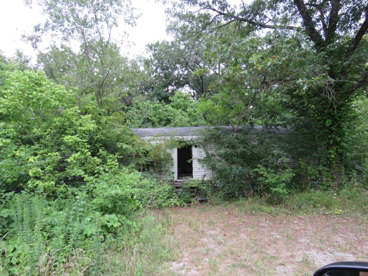 7728 County Lane 198 - Photo 1