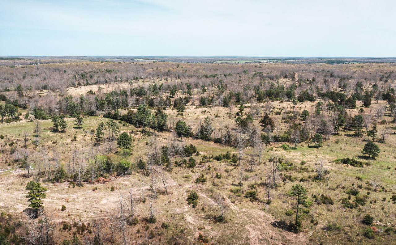 000 Highway N Tract 2 - Photo 1