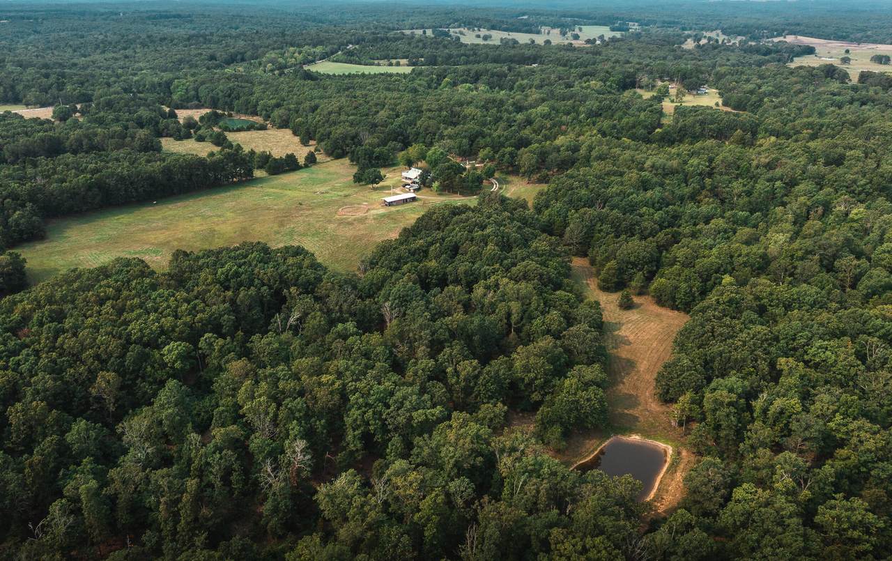 12566 Hwy 19 South - Photo 1