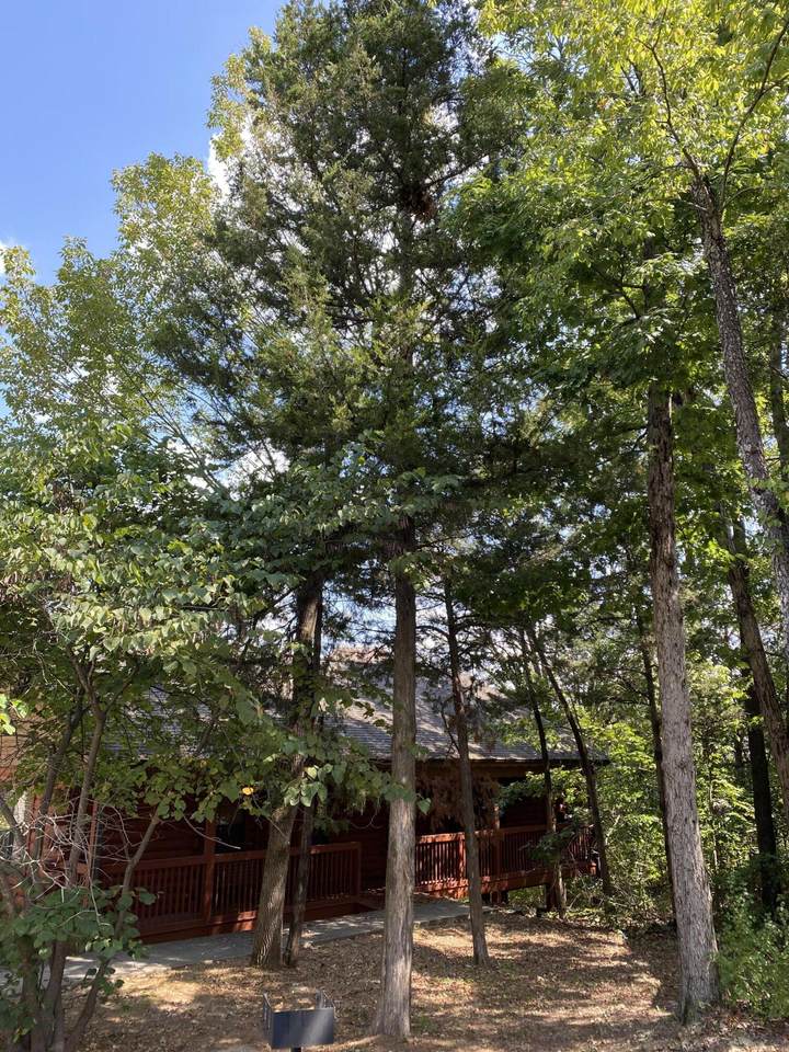 275 Oakridge Drive - Photo 1