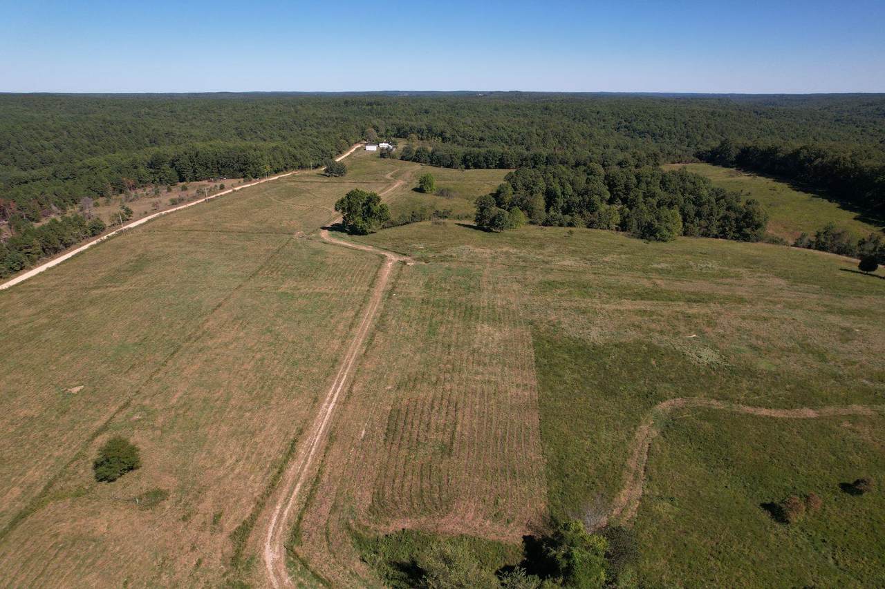 000 County Road 289 - Photo 1