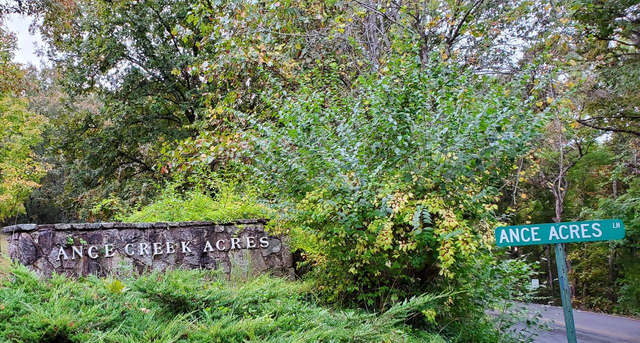 Lot 23 Ance Acres Lane Lane - Photo 1