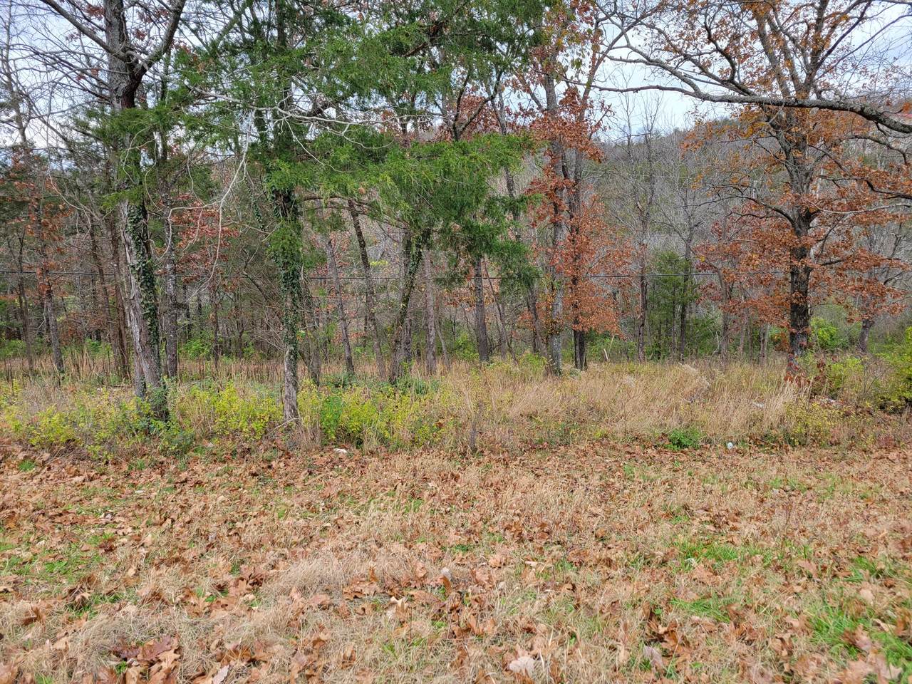 2791 Maple Lot 2 Street - Photo 1