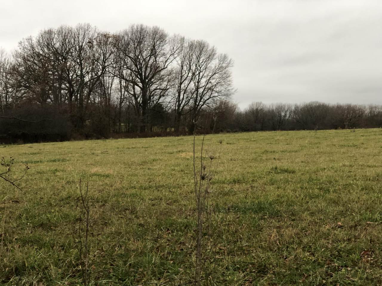866 Tract #1 Hodges Road - Photo 1