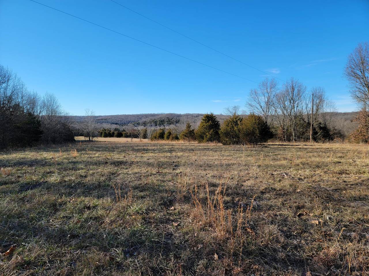 000 Martins Branch Road - Photo 1