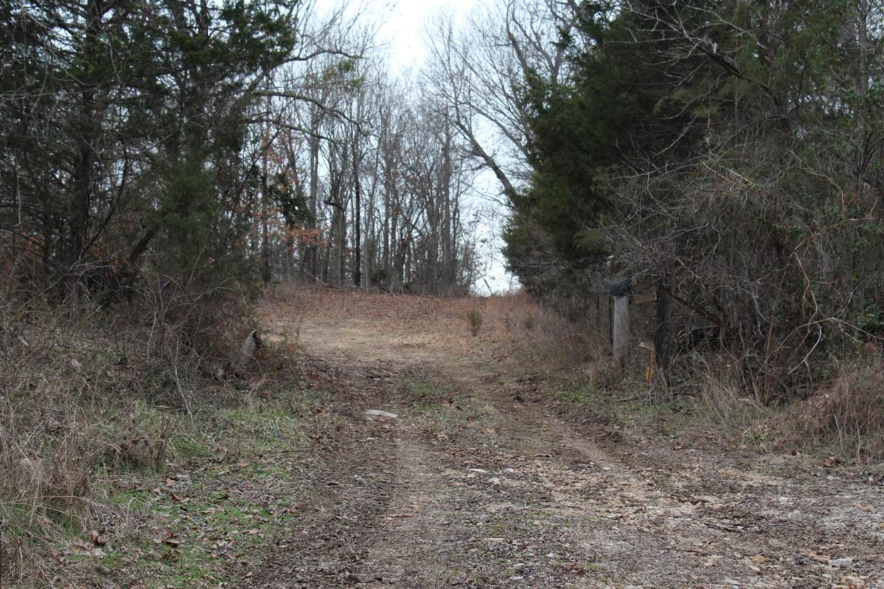 000 County Road 639A - Photo 1